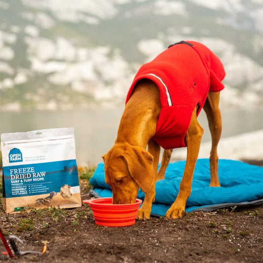 What are the benefits of Freeze-Dried Treats?