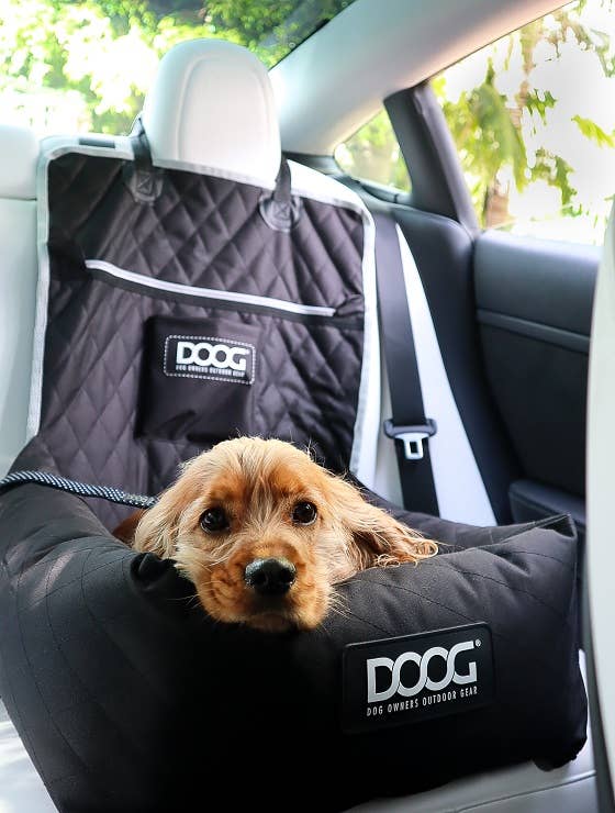 Pet Carriers, Travel & Bedding