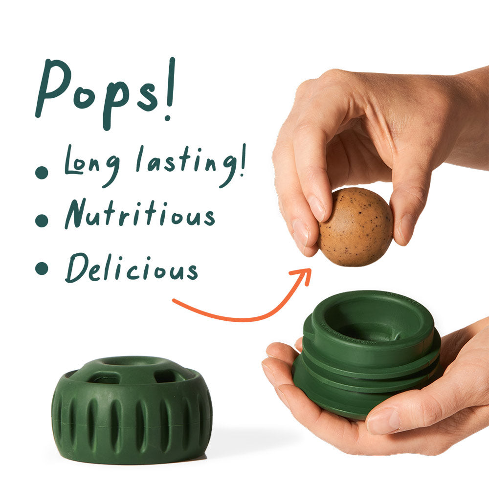 Pupsicle Pops - Long Lasting Treats for Pupsicle Toy