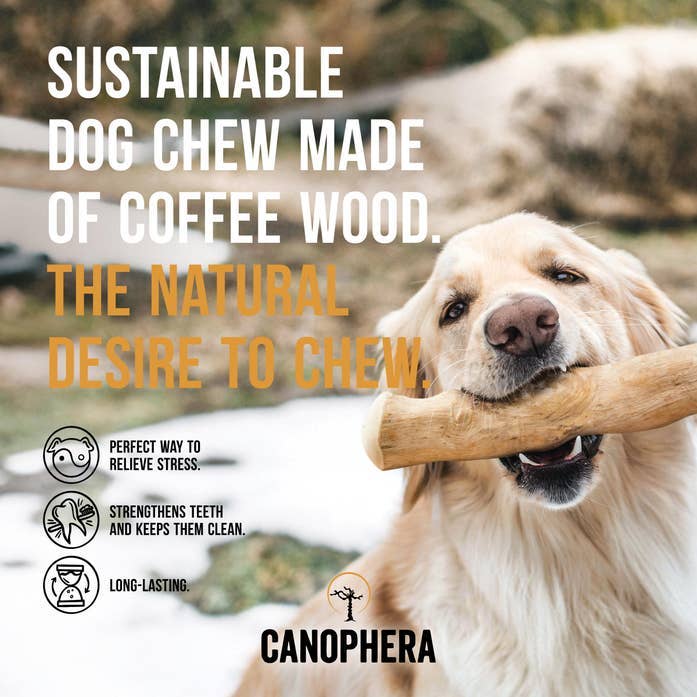 Coffee Wood Dog Chews