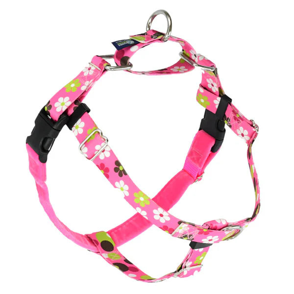 2 Hounds Design Daisy Dot Freedom No-Pull Harness With Leash