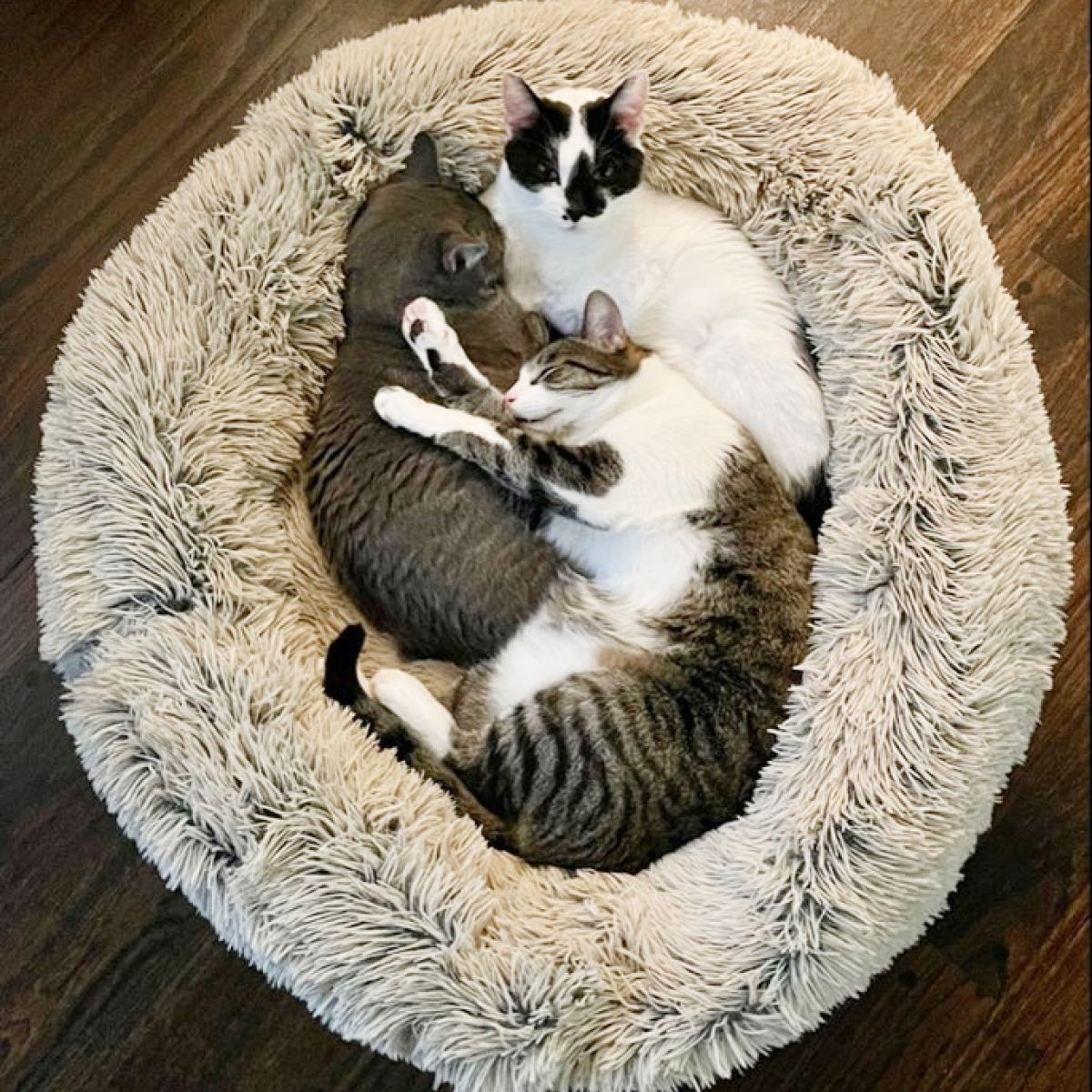 Tall Tails Donut Cuddler Bed in Grey – a round, plush pet bed with soft, overstuffed bolstered sides and a deep center, perfect for pets who love to curl up and feel secure.
