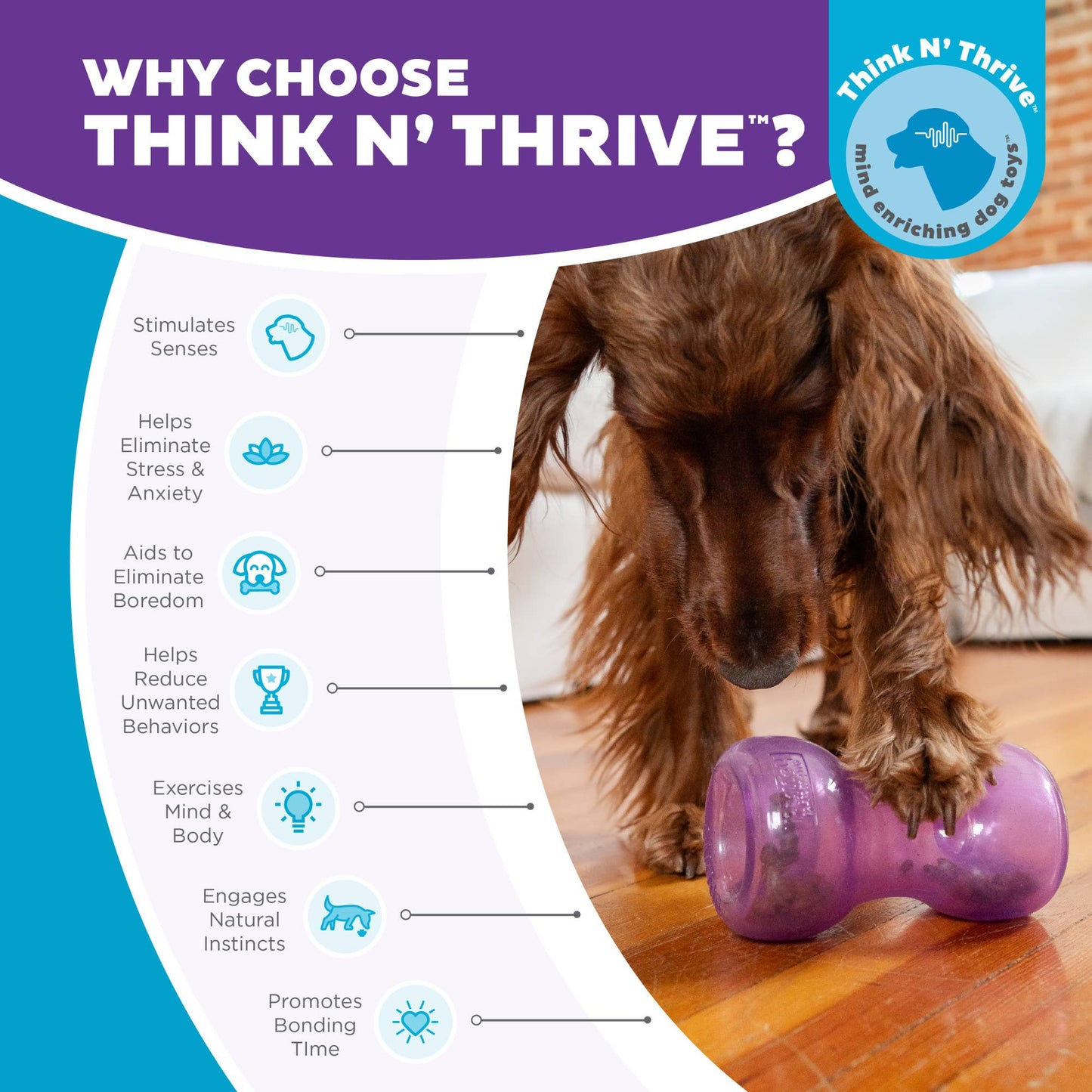 Planet Dog Orbee-Tuff Double Snoop Interactive Dog Toy