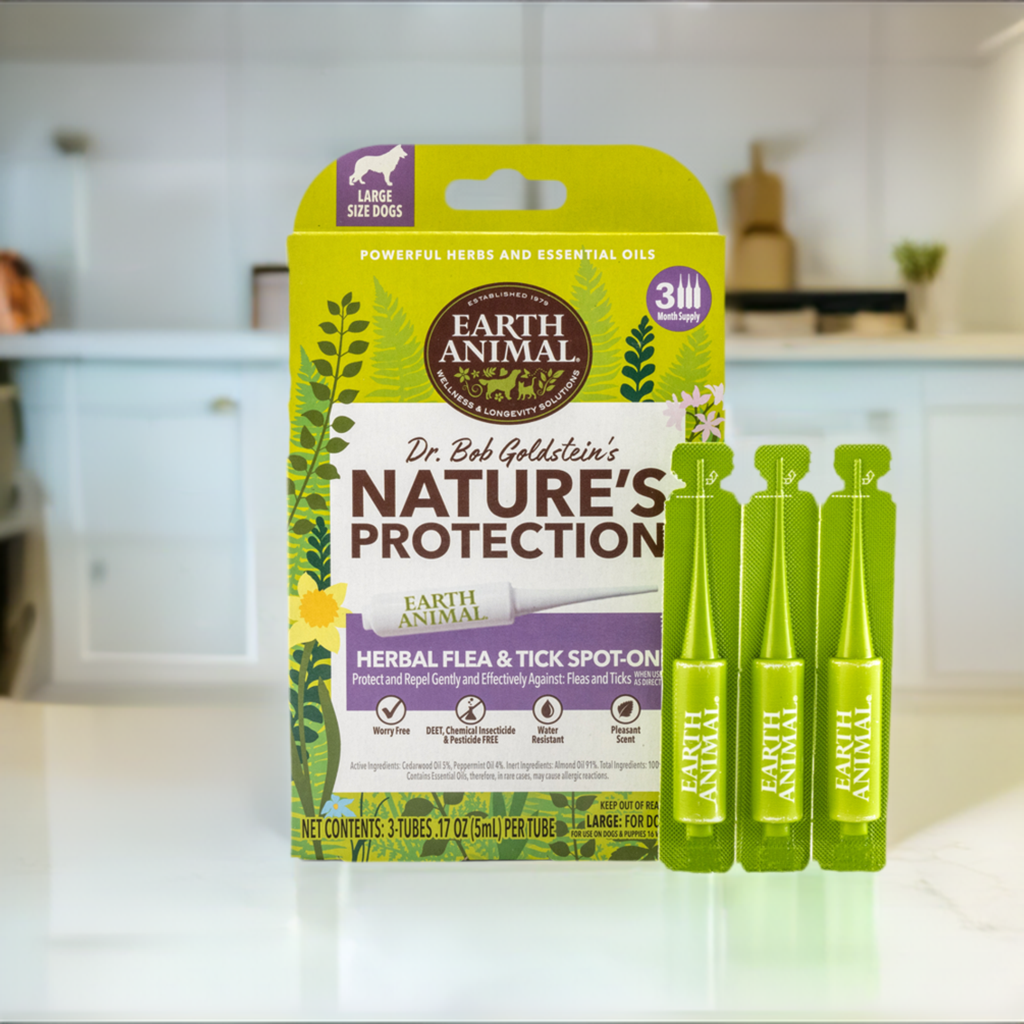 Flea treatment companies outlet