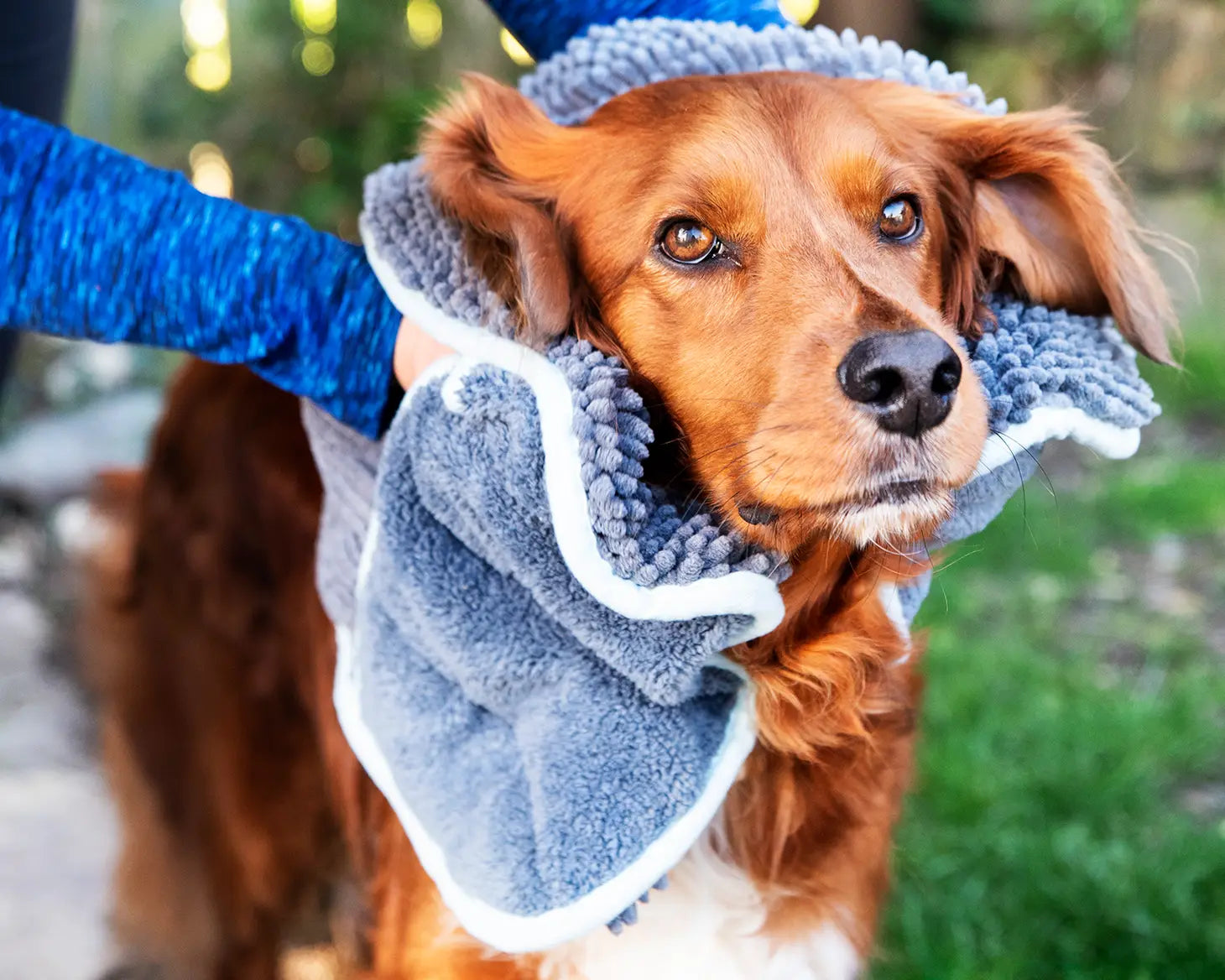 Henry wag outlet drying glove