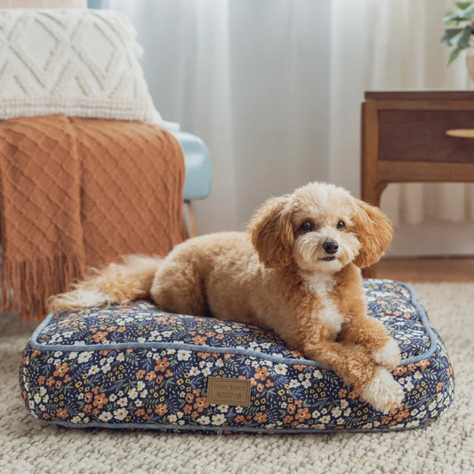 Dreamy Comfort and Style: Exploring Harry Barker's Exceptional Dog Beds