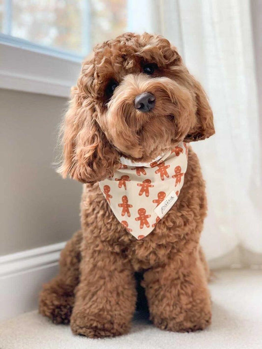 Little Gingerbread Bandana