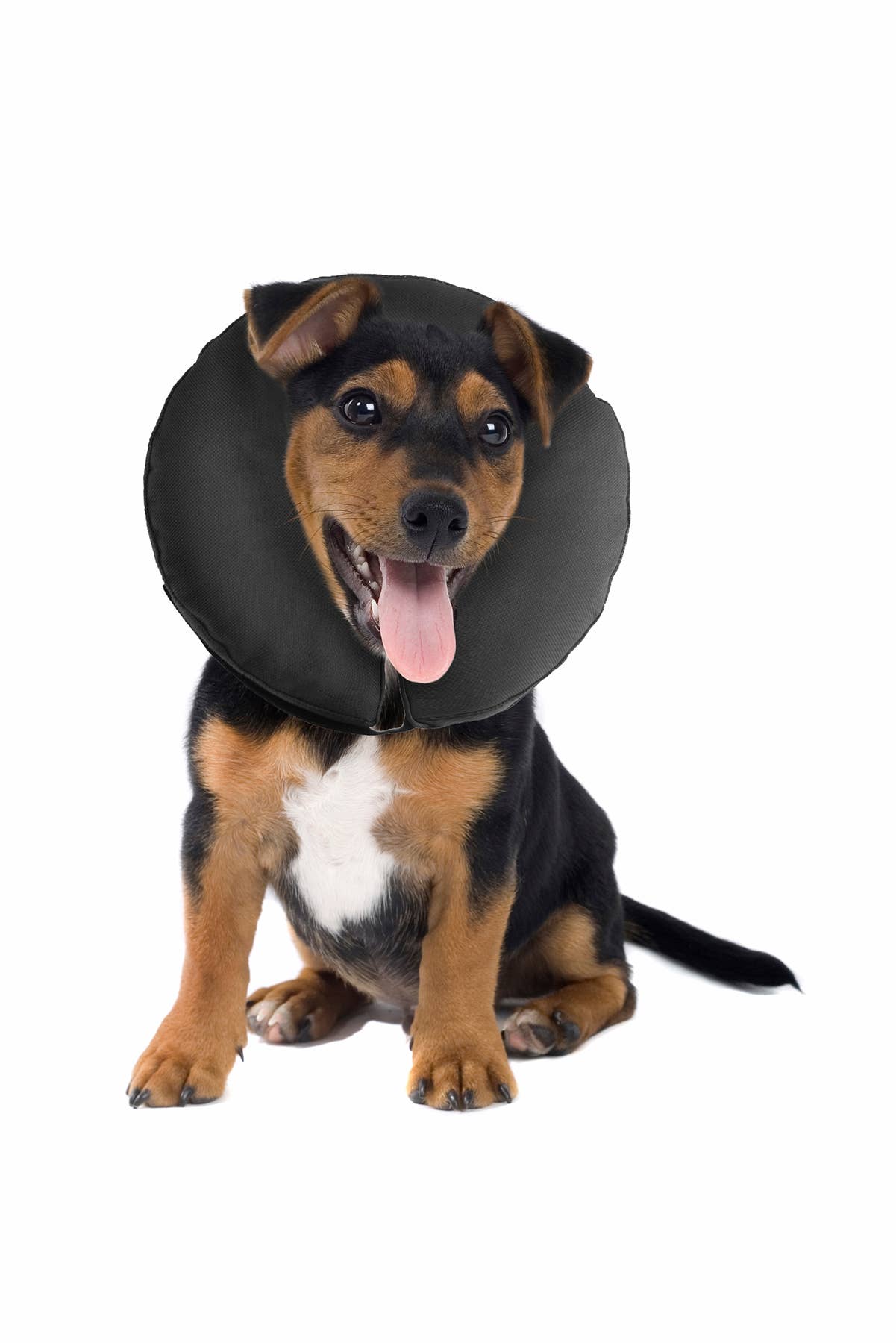 ZenCollar - Inflatable Recovery Collar