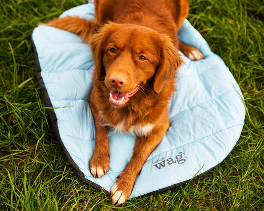 Henry Wag Alpine Travel Snuggle Dog Bed