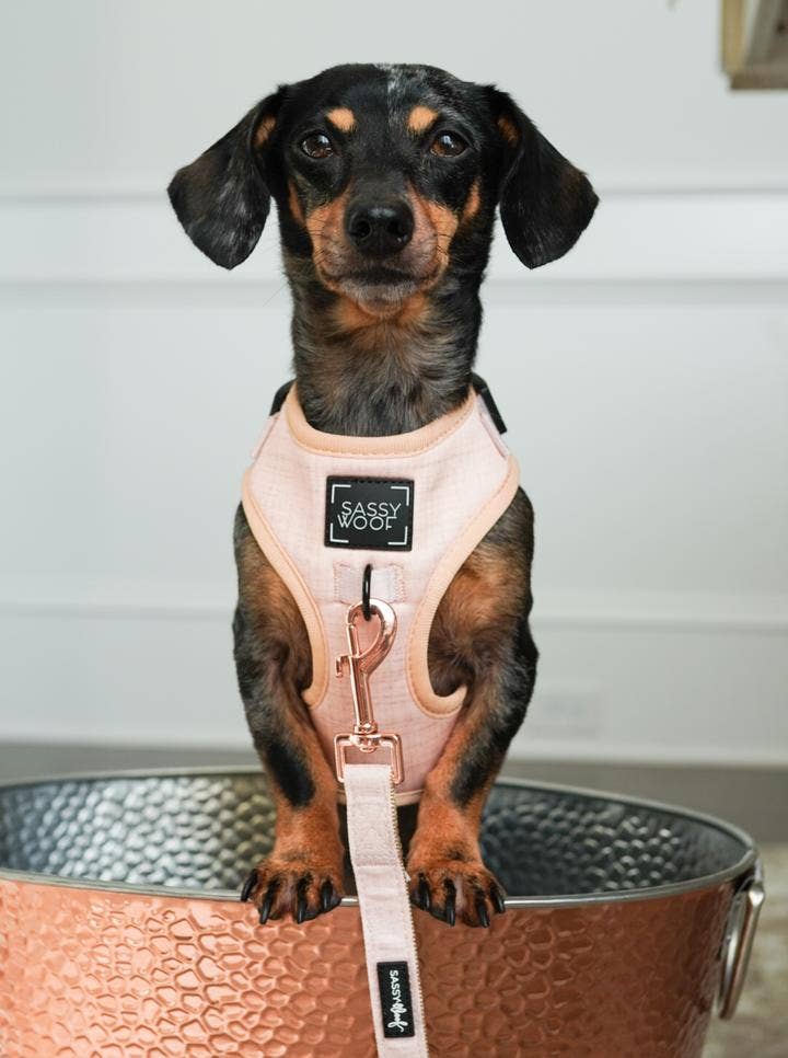 Dog Adjustable Harness - Pinot