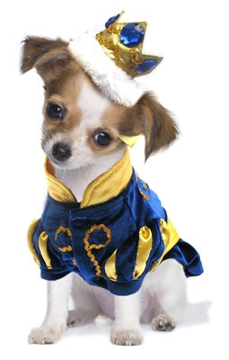 Prince Charming Dog Costume