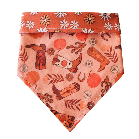 Fall Boho Boots - Reversible Dog Collar Bandana