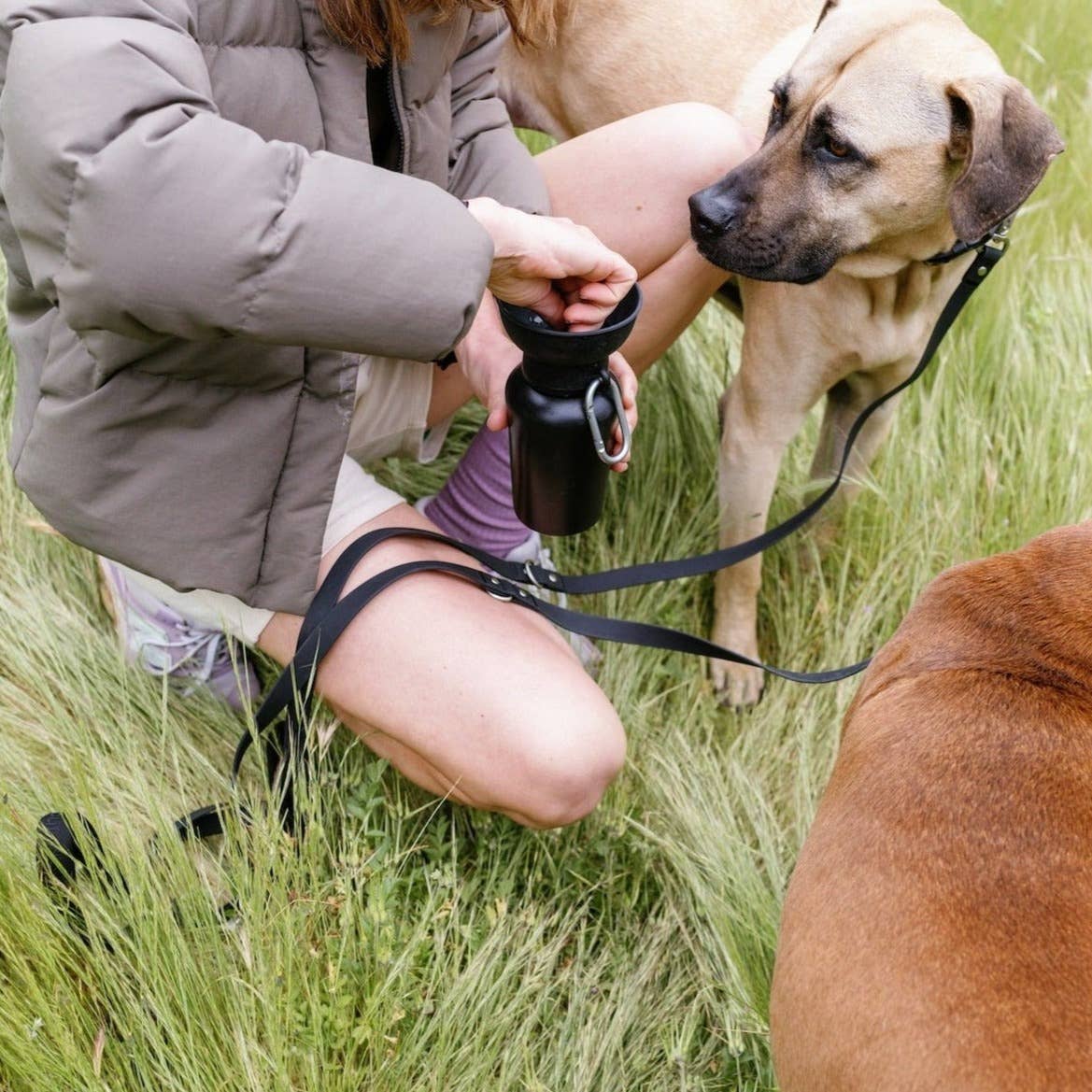 Dog Travel Water Bottle | Flip 20 oz