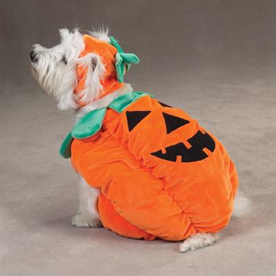 Pumpkin Dog Halloween Costume