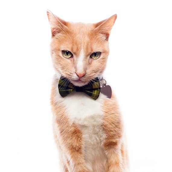 The Trendsetter - Cat / Dog Bow Tie