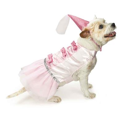 Princess Dog Halloween Costume