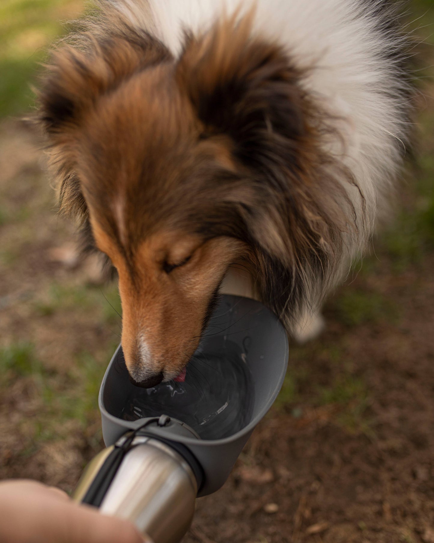 Messy Mutts Stainless Water Bottle Grey