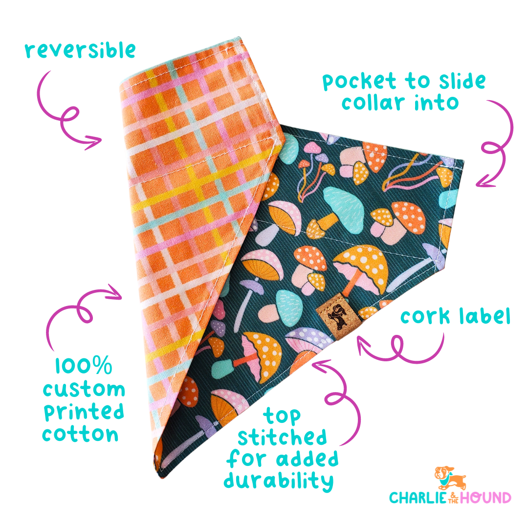 Cowboy Ghost - Reversible Dog Collar Bandana