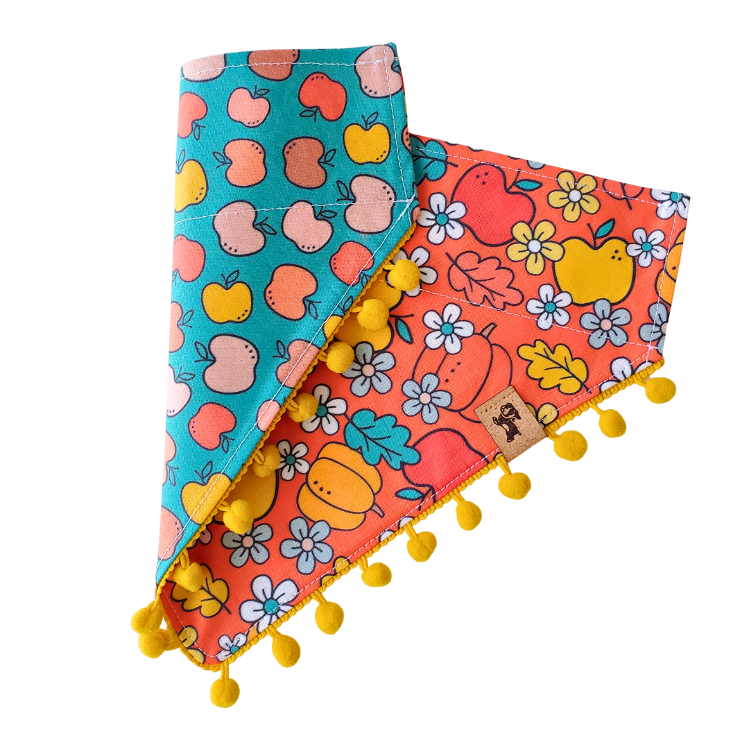 Fall Apple & Pumpkin - Reversible Dog Collar Bandana