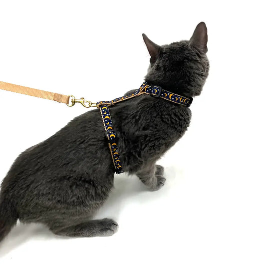 Stella & Luna Cat Harness Set