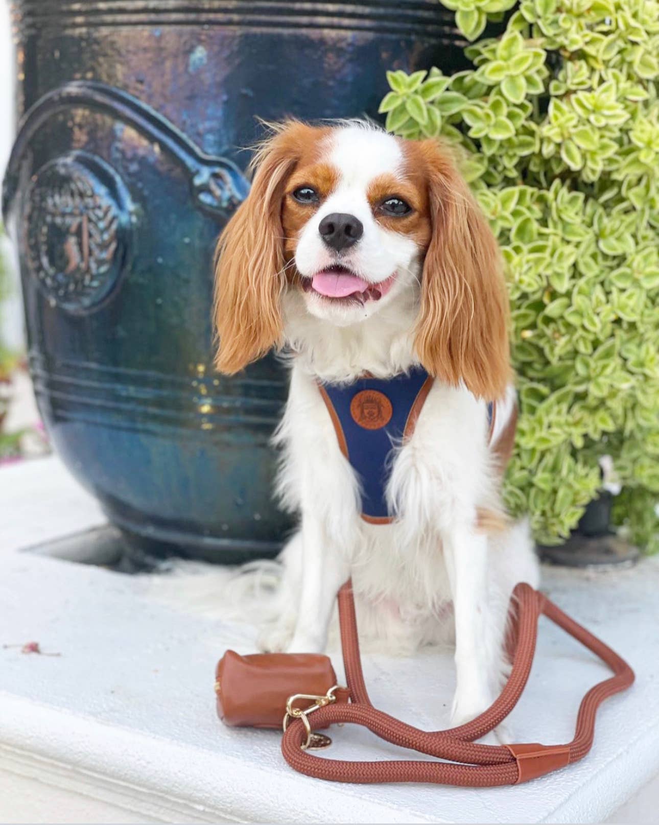 The Classic Leash - Saddle