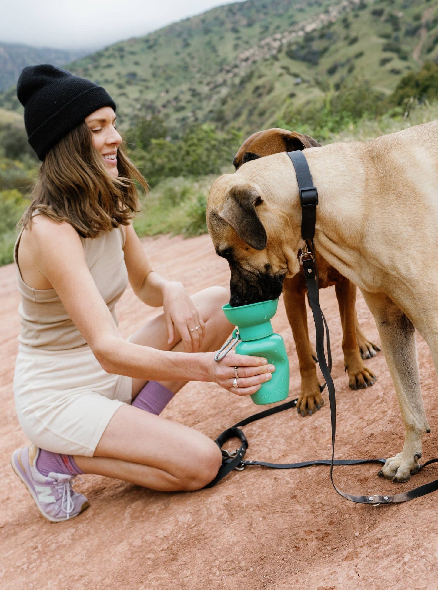 Dog Travel Water Bottle | Flip 20 oz