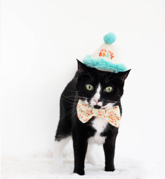 Birthday Cat Hat And Bowtie Set