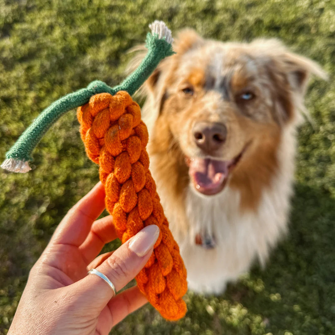 Country Tails Carrot Rope Toy