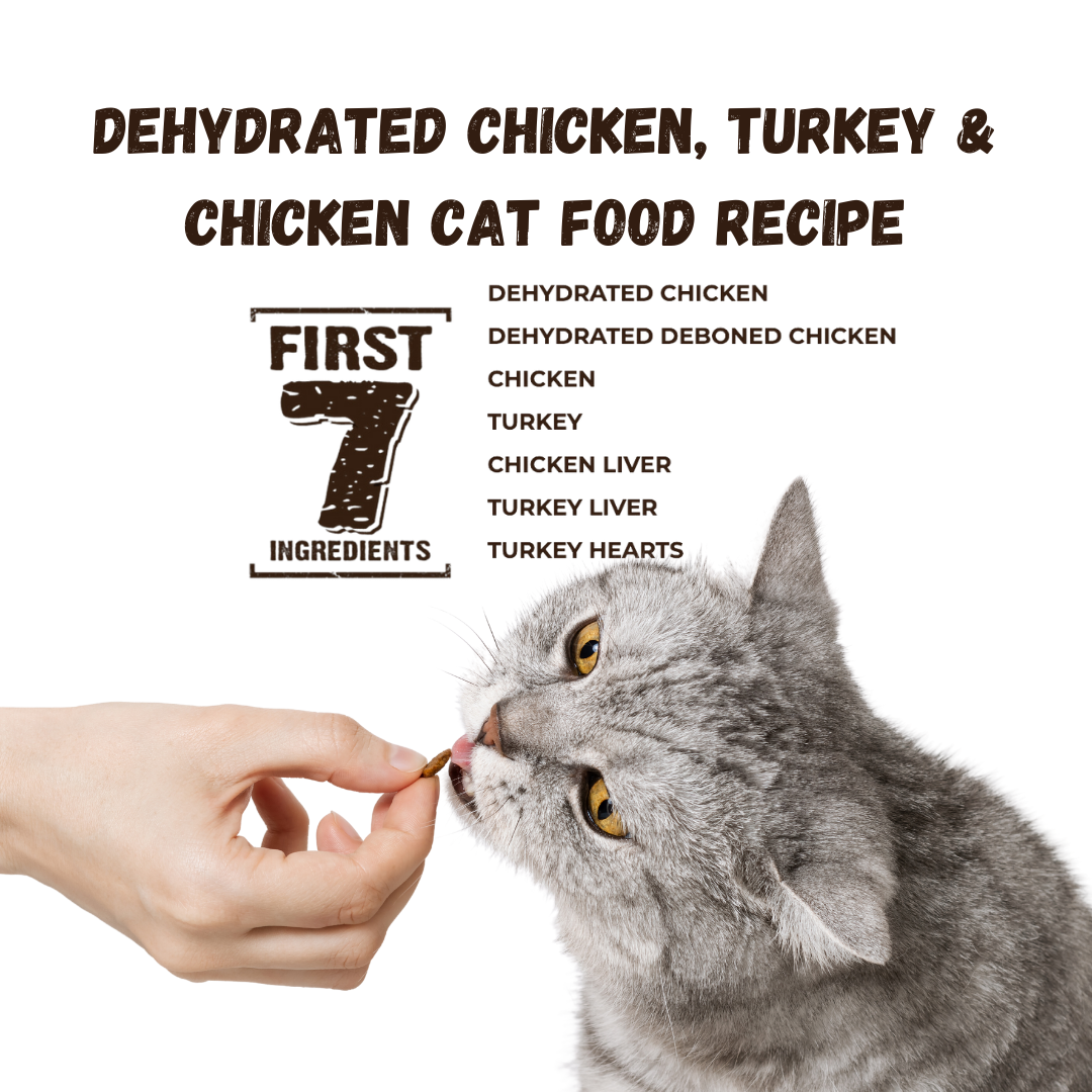 Rawz Chicken & Turkey Cat Kibble