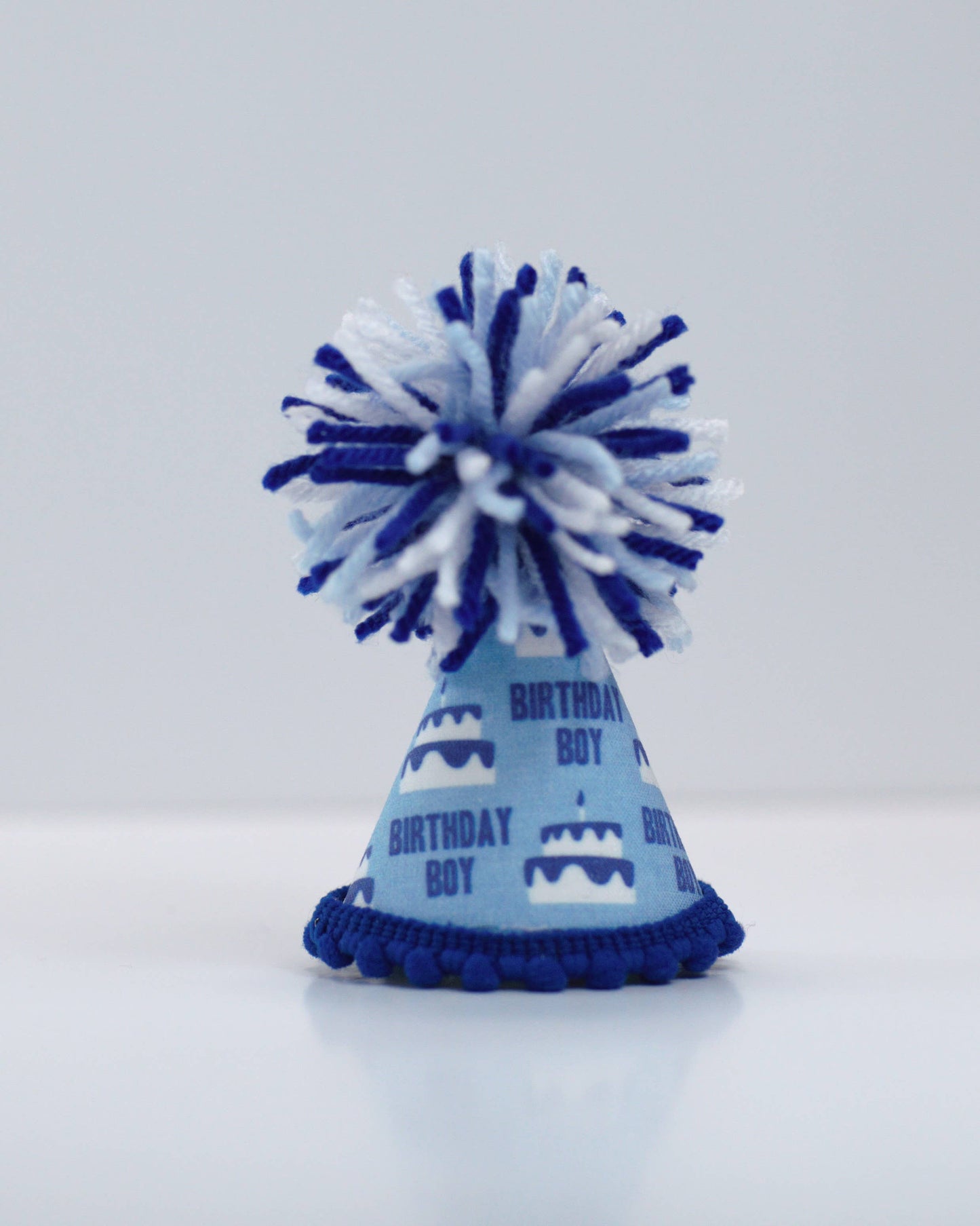 Birthday Boy Blue Ink Party Hat: