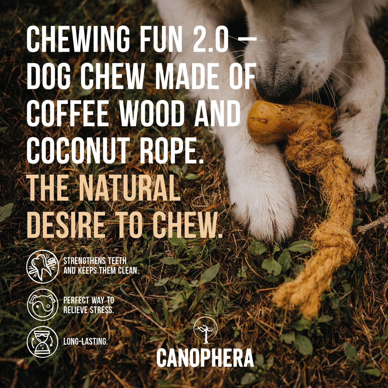 Coffee & Coco Wood Dog Chew