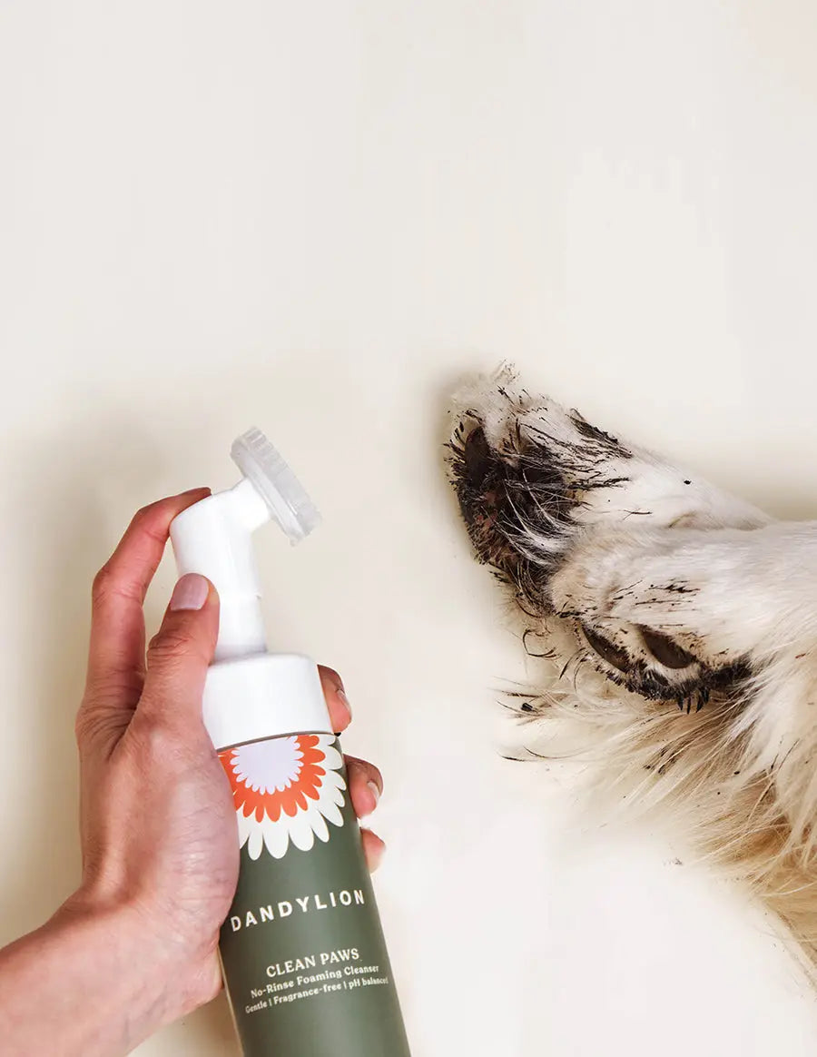 Clean Paws - No Rinse Foaming Cleanser