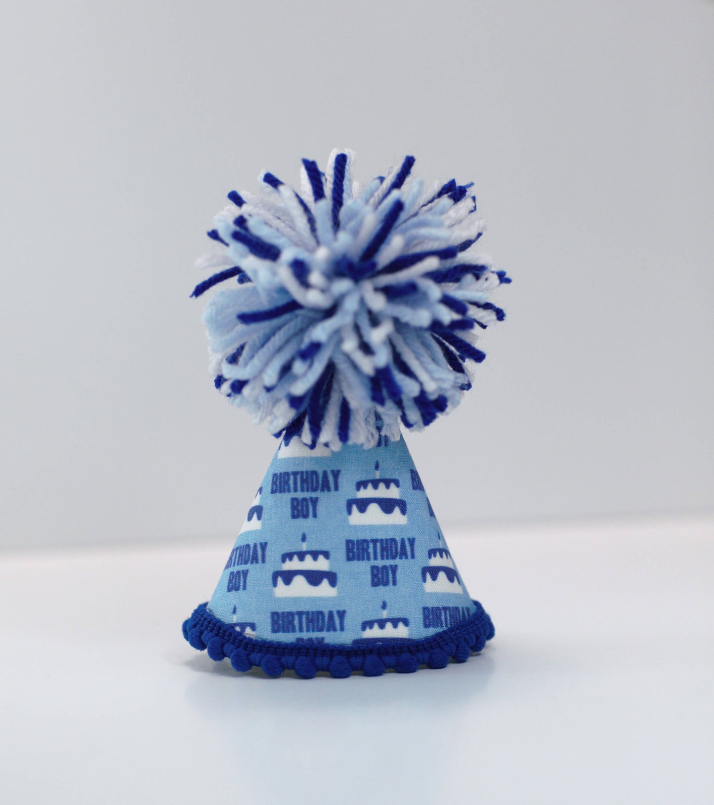 Birthday Boy Blue Ink Party Hat: