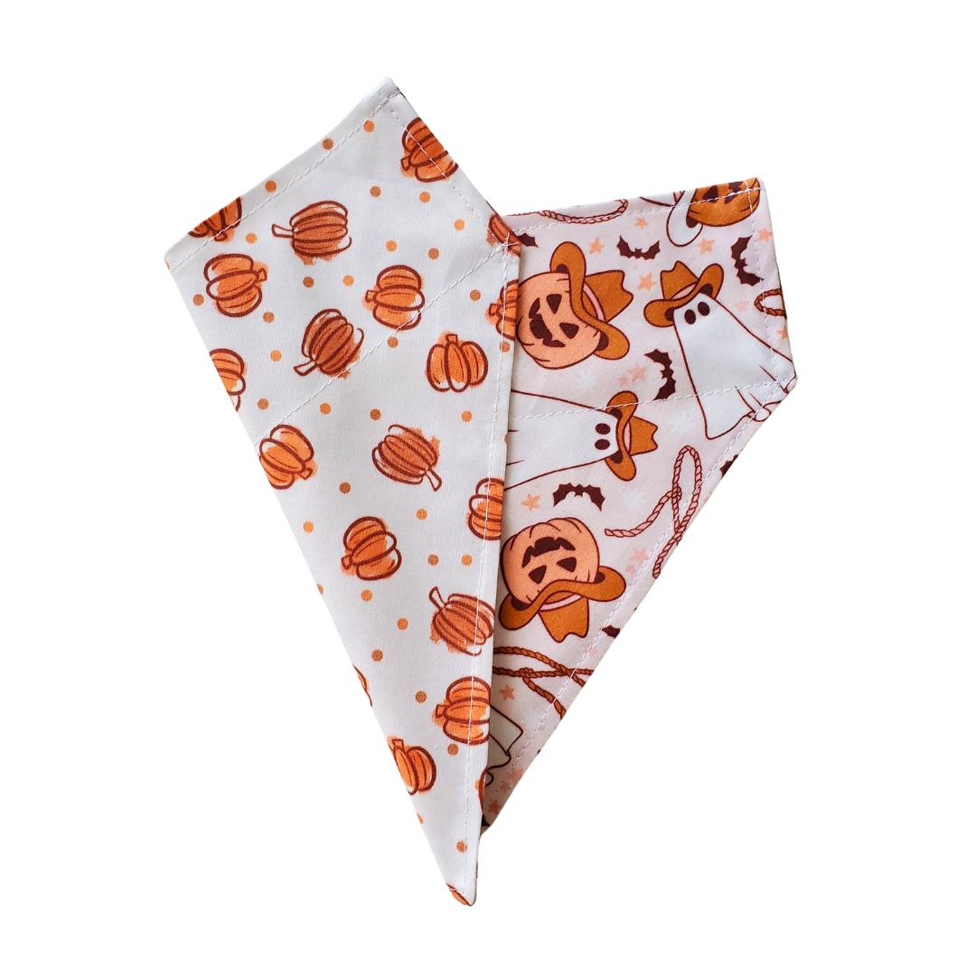 Cowboy Ghost - Reversible Dog Collar Bandana