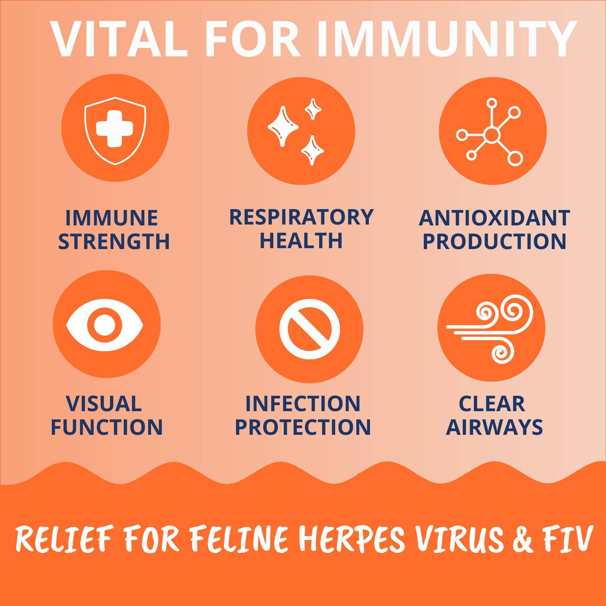 Package of Under the Weather Salmon flavored L-Lysine soft chews for cat immune support on a white background.