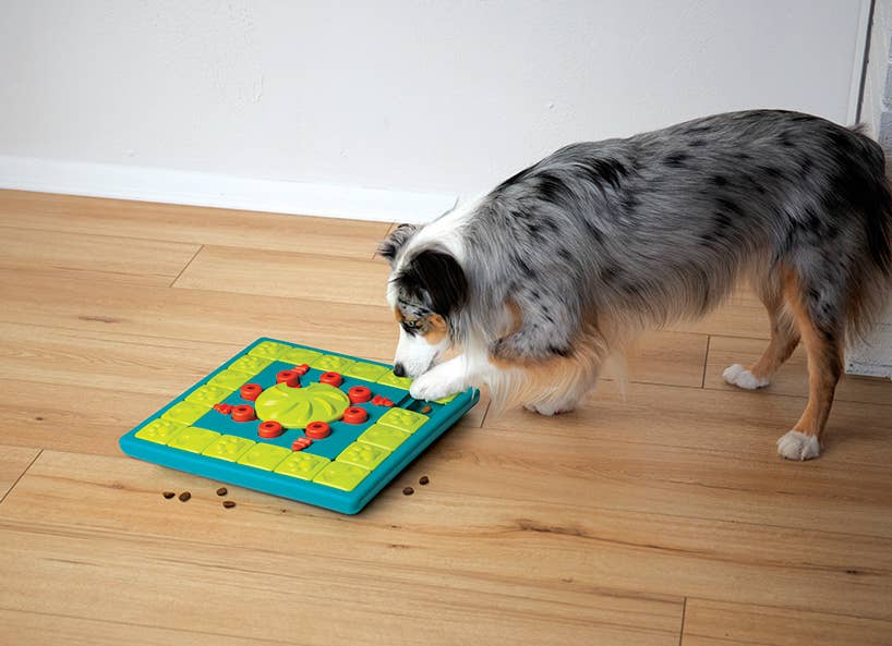 Nina Ottosson MultiPuzzle Interactive Treat Dog Puzzle Toy