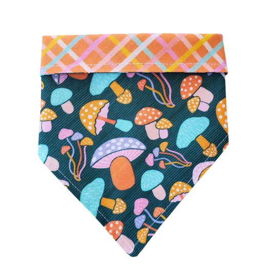 Mushroom Garden - Reversible Dog Collar Bandana