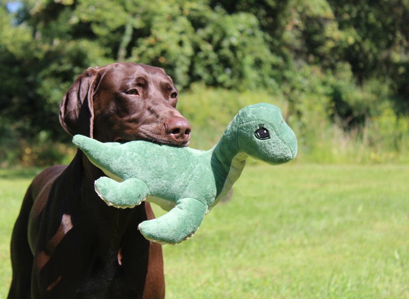 Plush Nessie with Squeaker Dog Toy - 13"