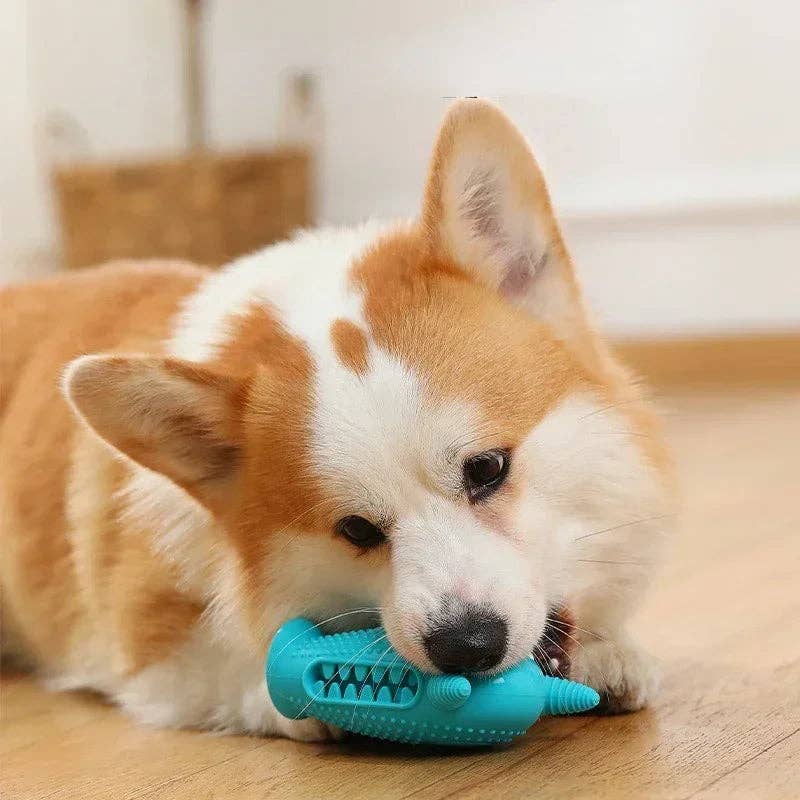 BPA Free Dental Dog Toy