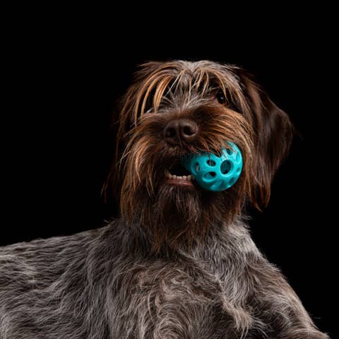 Totally Pooched Huff'n Puff Ball Rubber 2.5" Teal