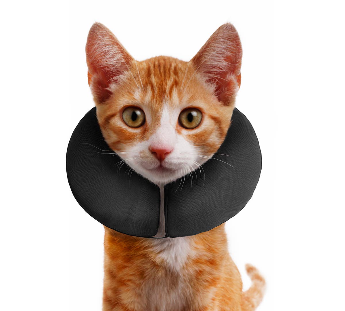 ZenCollar - Inflatable Recovery Collar