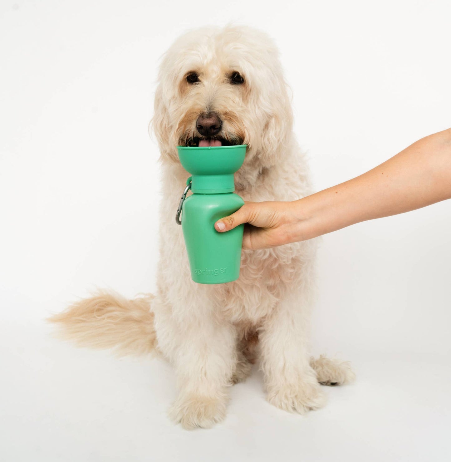 Dog Travel Water Bottle | Flip 20 oz