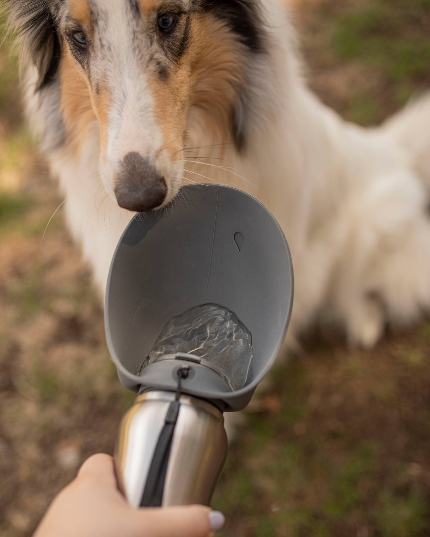 Messy Mutts Stainless Water Bottle Grey