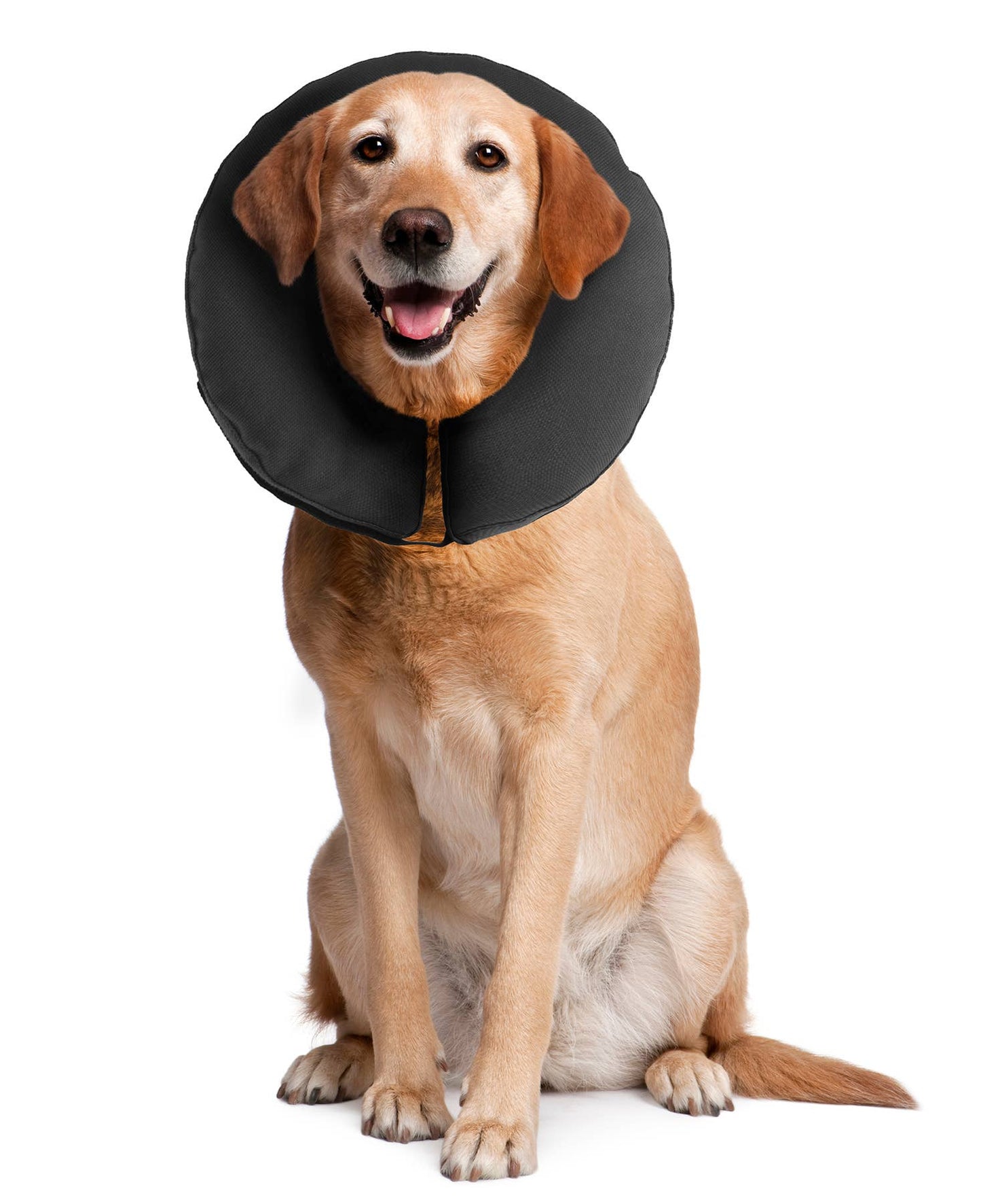 ZenCollar - Inflatable Recovery Collar