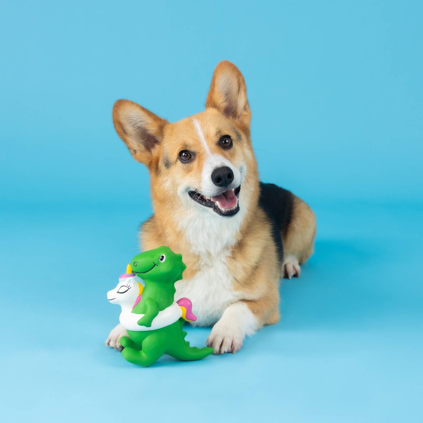 POOL SIDE REX LATEX DOG TOY