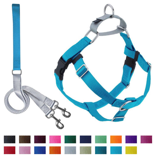 Turquoise Freedom No-Pull Dog Harness with Leash: