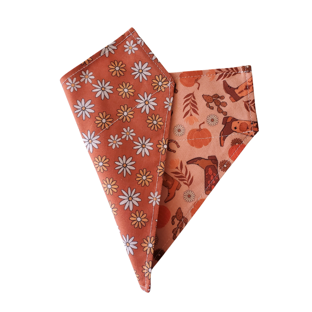 Fall Boho Boots - Reversible Dog Collar Bandana