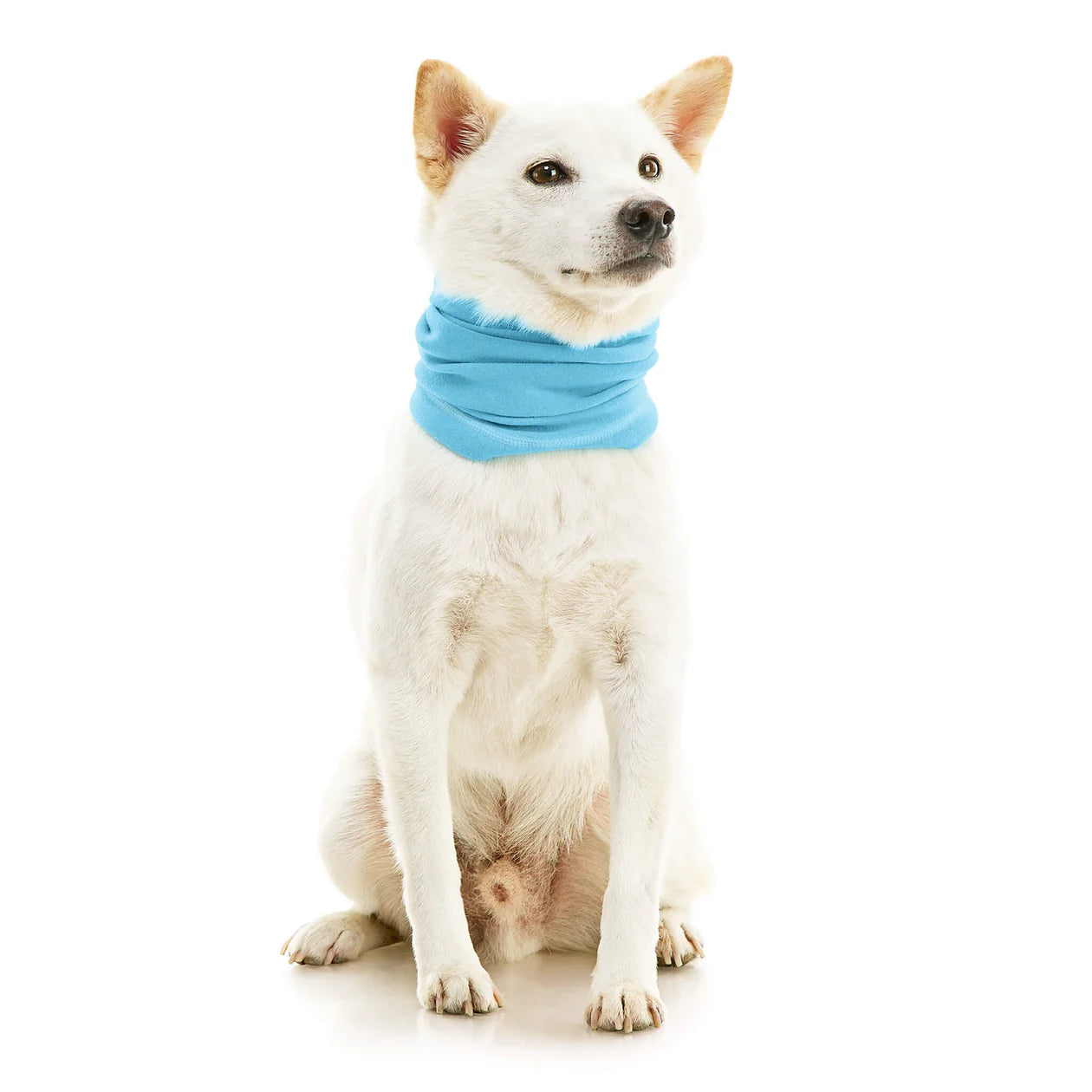 Gooby Snood for Dogs featuring a soft, cozy design that covers the dog's neck and ears, providing warmth and comfort during colder weather.