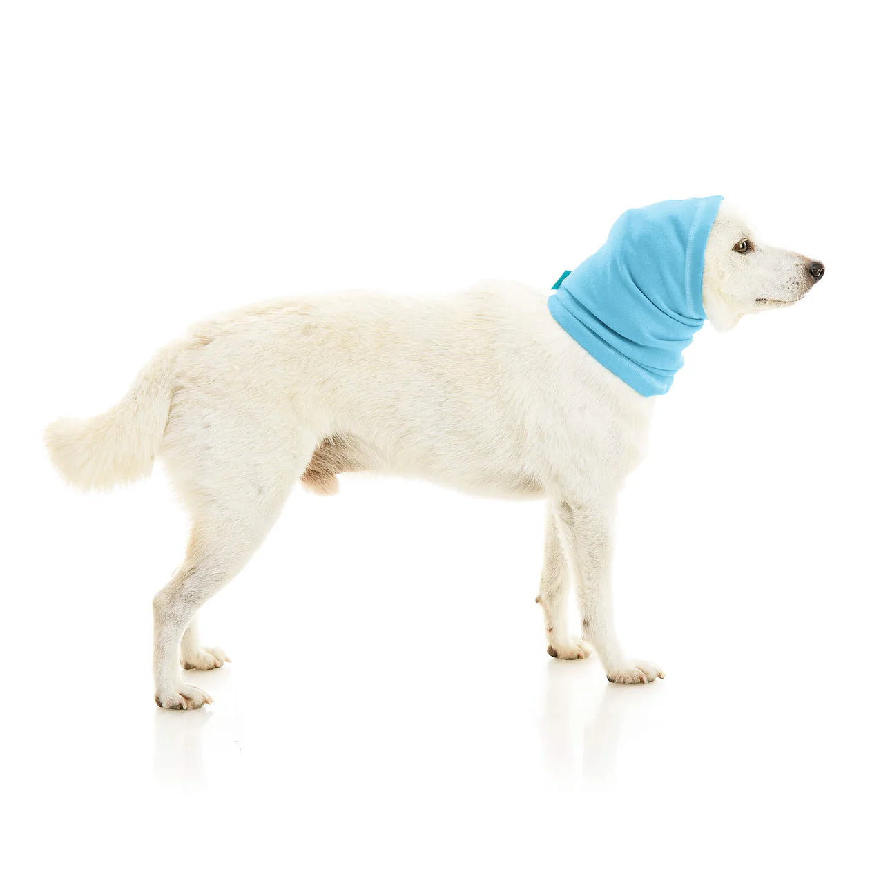 Gooby Snood for Dogs featuring a soft, cozy design that covers the dog's neck and ears, providing warmth and comfort during colder weather.