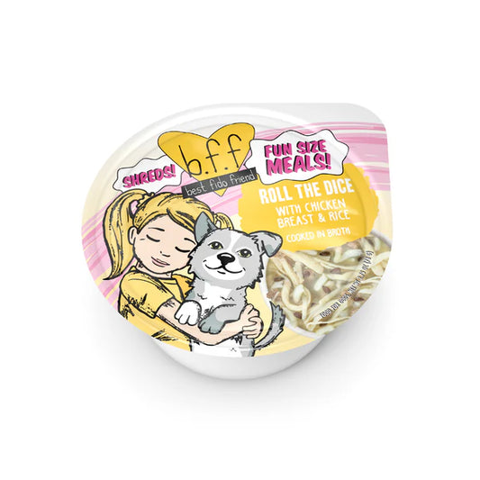 BFF Fun Sized Meals - Roll The Dice
